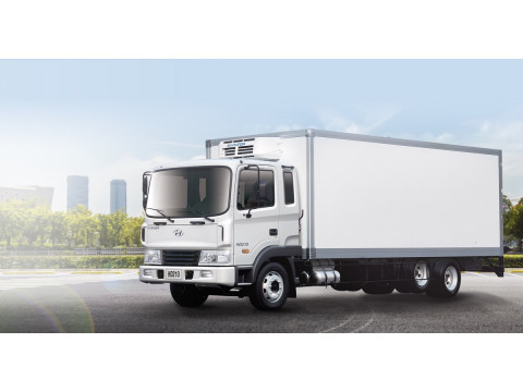 Чем недорого диагностироваться ABS NIPPON на Hyundai HD 65, HD 78, County